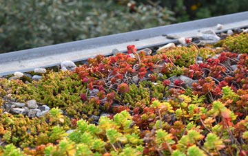 the cost of First Coast green roof installation