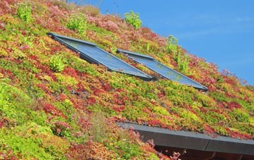 First Coast living roof systems
