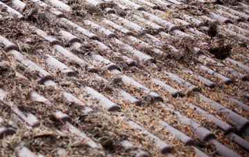 First Coast roof cleaning companies