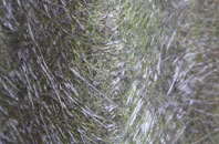 First Coast fibreglass roof work